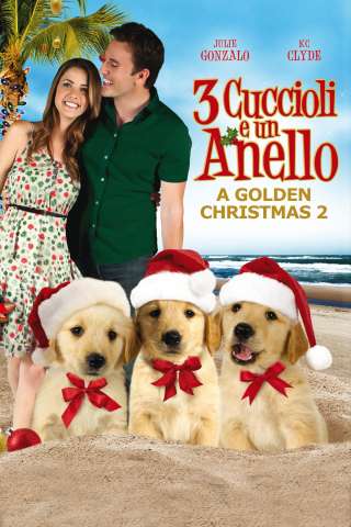 Tre cuccioli e un anello [HD] (2011 CB01)