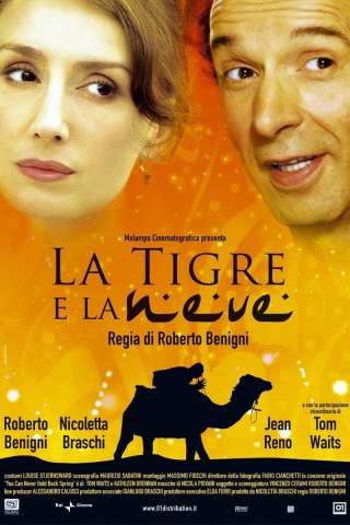 La tigre e la neve [HD] (2005 CB01)