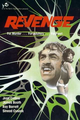 Revenge [HD] (1971 CB01)