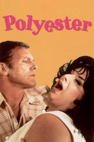 Polyester [HD] (1981 CB01)