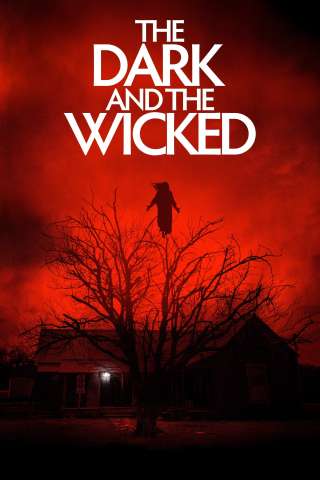 The Dark and the Wicked [HD] (2020 CB01)