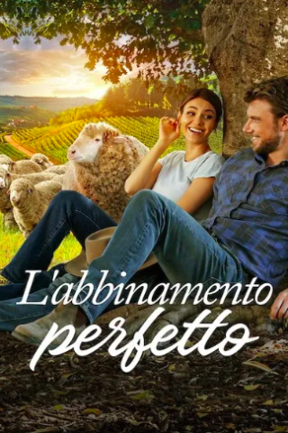 L'abbinamento perfetto [HD] (2022 CB01)