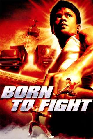 Born to fight - Nati per combattere [HD] (2004 CB01)