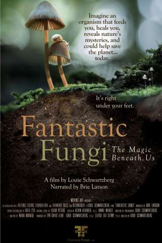 Funghi fantastici [HD] (2019 CB01)