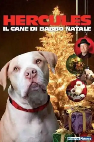 Hercules - Il Cane di Babbo Natale [SD] (2011 CB01)