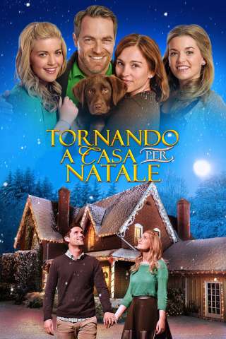 Tornando a casa per Natale [HD] (2014 CB01)