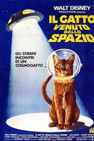 Il gatto venuto dallo spazio [SD] (1978 CB01)