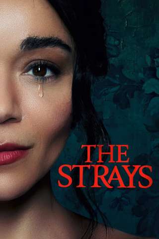 The Strays [HD] (2023 CB01)