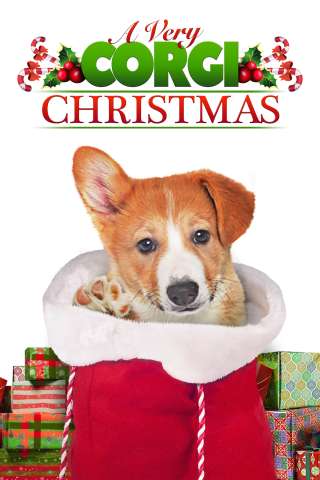 Un Natale da Corgi [HD] (2019 CB01)