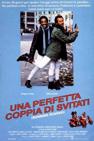 Una perfetta coppia di svitati [HD] (1986 CB01)