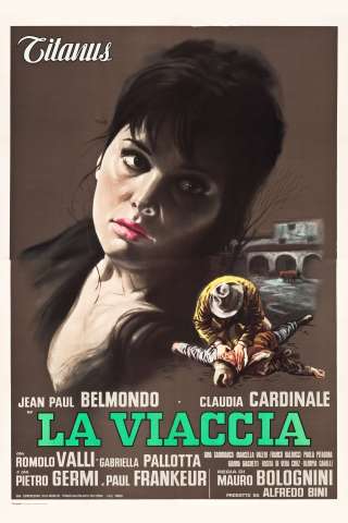 La viaccia [HD] (1961 CB01)