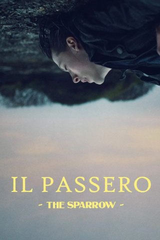 Il passero - The Sparrow [HD] (2022 CB01)