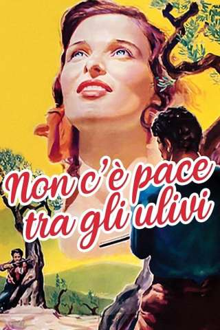 Non c'è pace tra gli ulivi [HD] (1950 CB01)