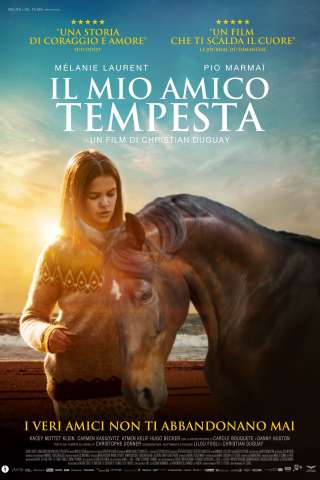 Il mio amico Tempesta [HD] (2022 CB01)