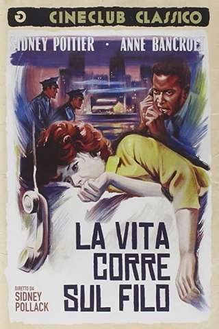 La vita corre sul filo [HD] (1965 CB01)