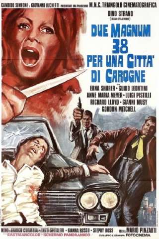 Due Magnum .38 per una città di carogne [HD] (1975 CB01)