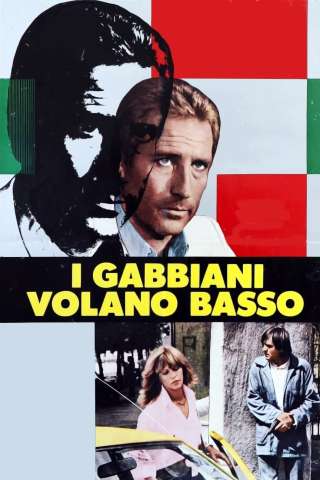 I gabbiani volano basso [HD] (1978 CB01)