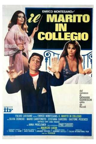 Il marito in collegio [HD] (1977 CB01)