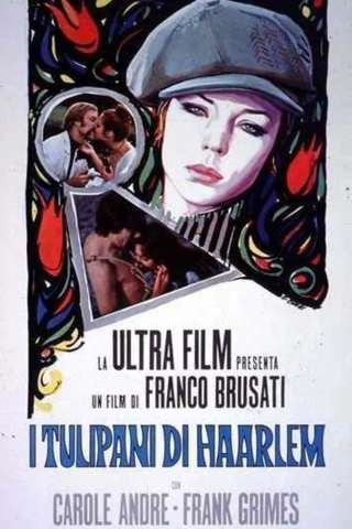 I tulipani di Haarlem [HD] (1970 CB01)