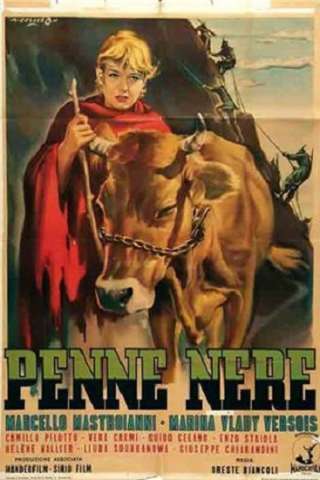 Penne nere [HD] (1952 CB01)