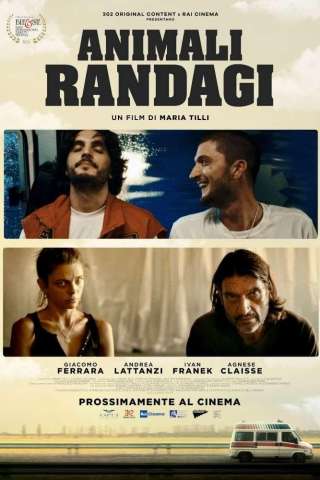 Animali Randagi [HD] (2024 CB01)