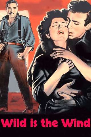 Selvaggio è il vento [HD] (1957 CB01)