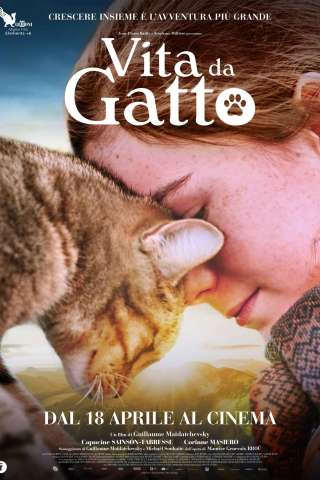 Vita da gatto [HD] (2023 CB01)