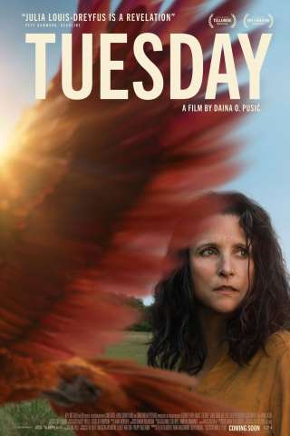 Tuesday [HD] (2023 CB01)