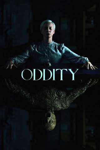 Oddity [SD] (2024 CB01)