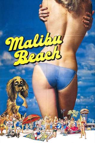 I ragazzi della spiaggia di Malibu [HD] (1978 CB01)