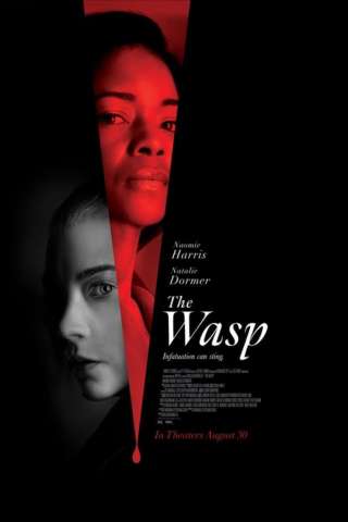 The Wasp [HD] (2024 CB01)